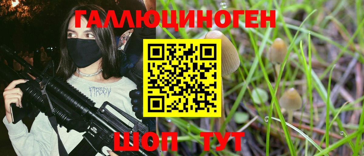 Мценск  Галлюциногенные грибы MAGIC MUSHROOMS  Вход с VPN  Галлюциногенные грибы мухоморы 